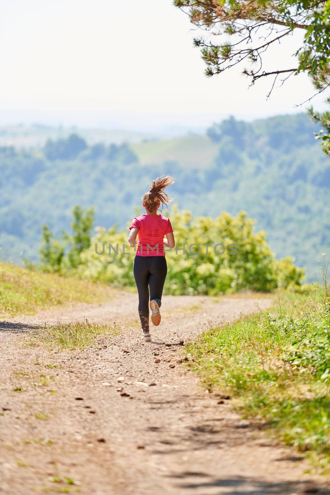 woman enjoying in a healthy lifestyle while jogging on a country road through the beautiful sunny forest, exercise and fitness concept