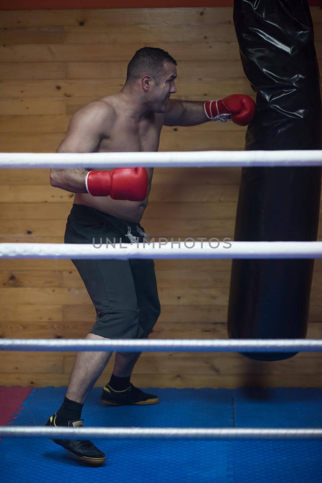 professional muscular kick boxer training on a punching bag while preparing for the next fight
