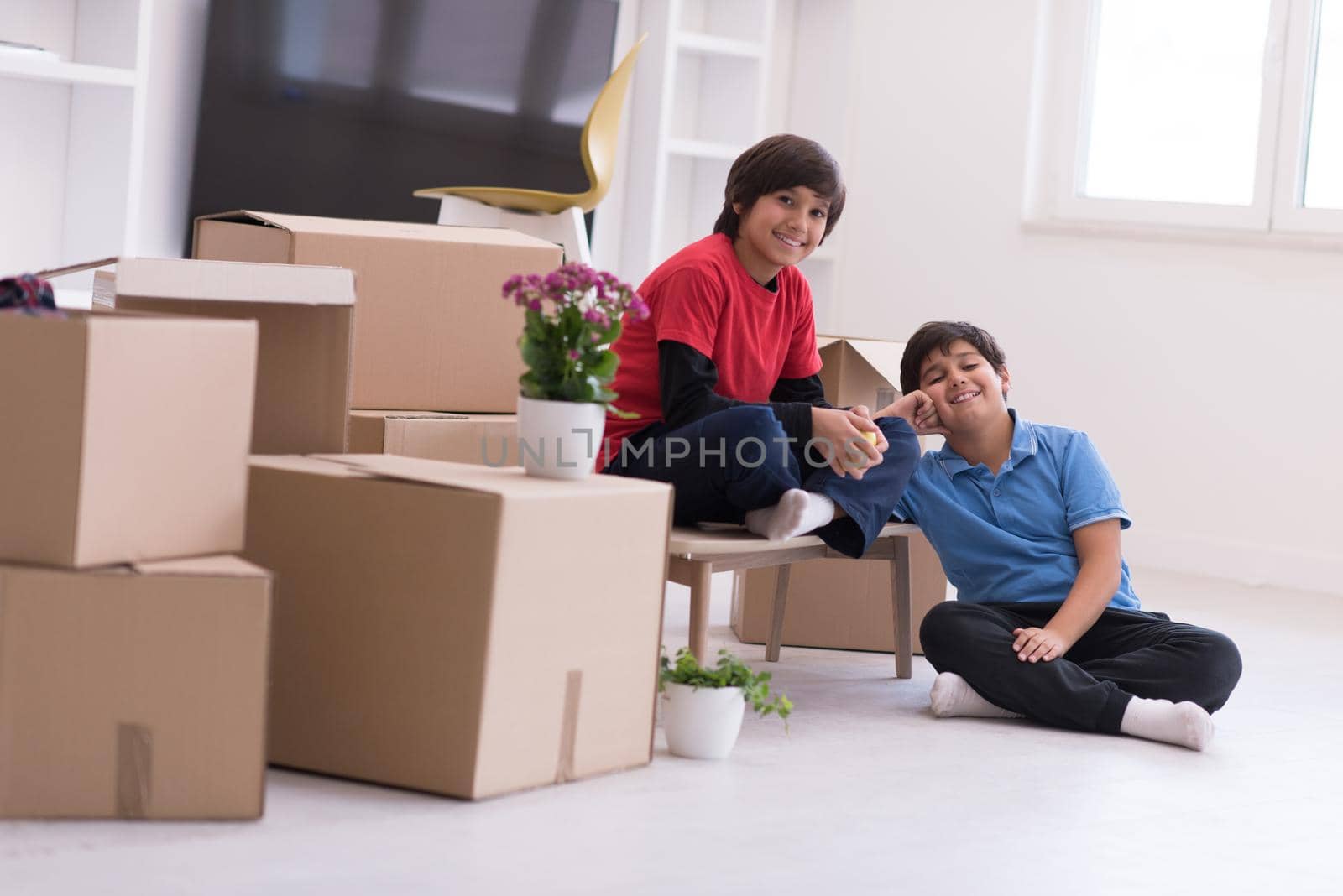 portrait of happy young boys with cardboard boxes around them in a new modern home