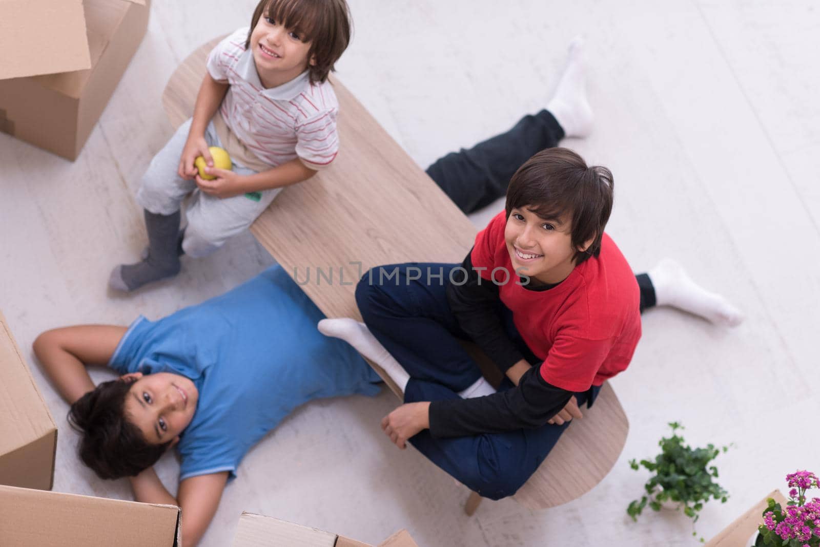 portrait of happy young boys with cardboard boxes around them in a new modern home top view