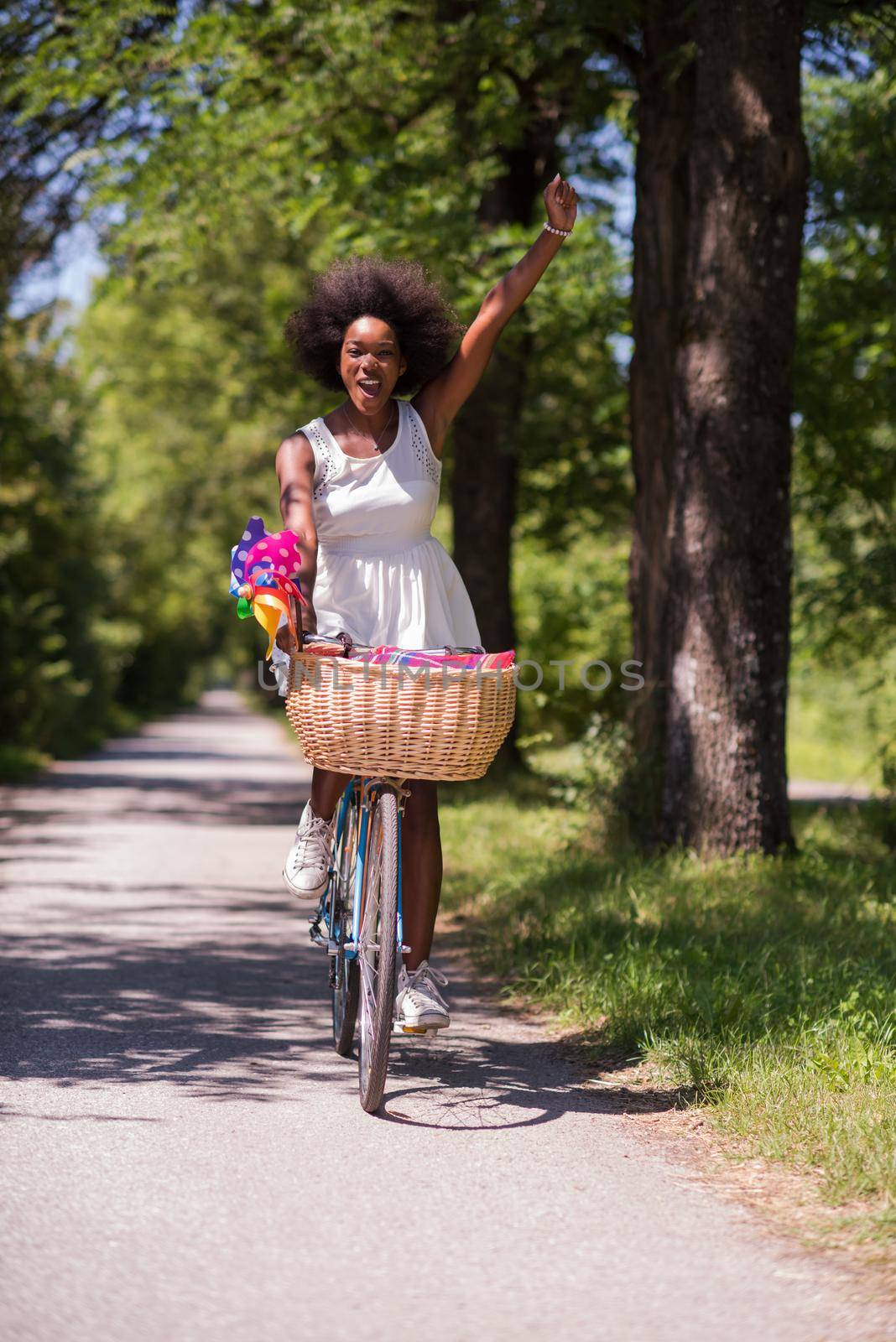 beautiful young African American women enjoy while riding a bicycle in the woods on a sunny summer day