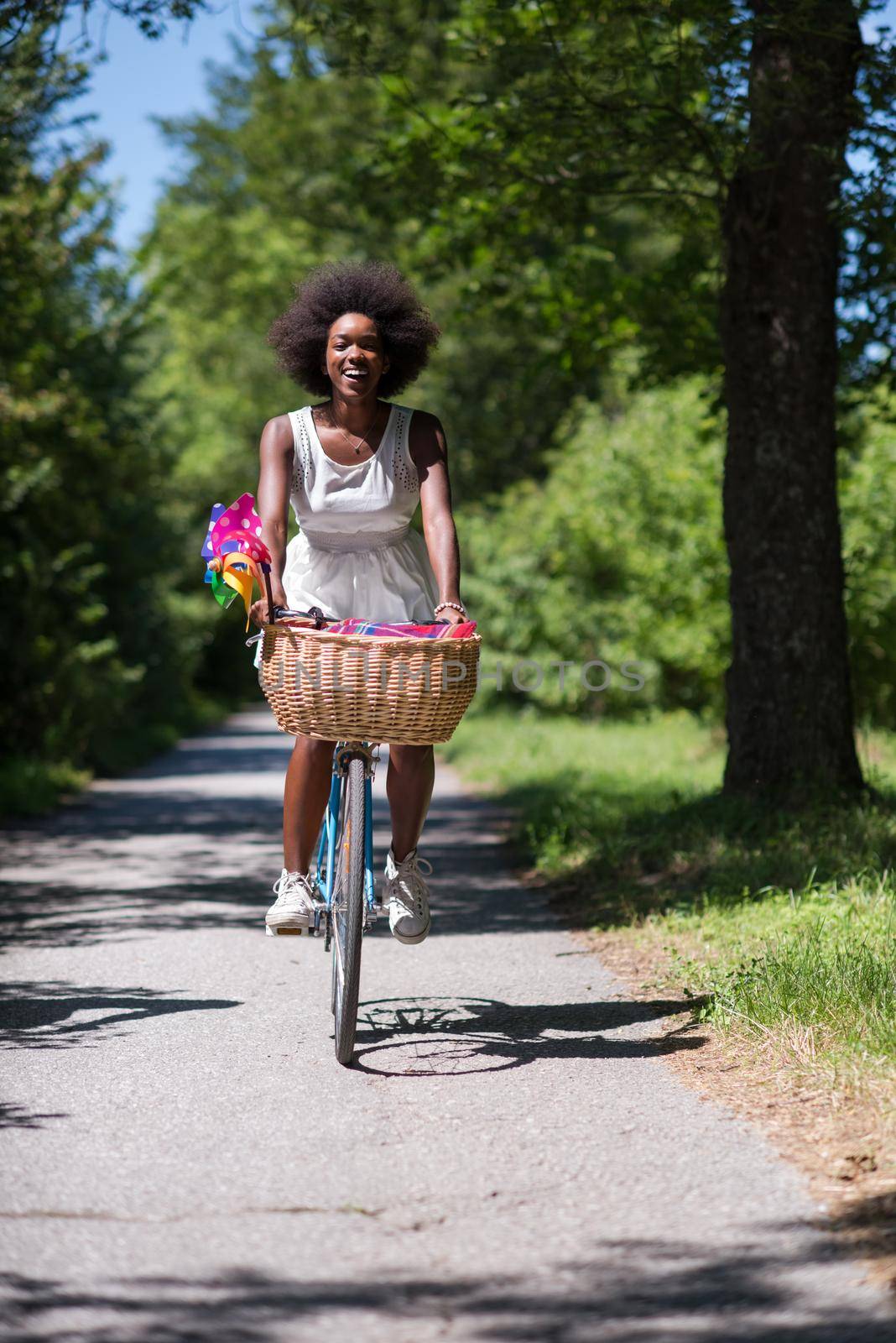 beautiful young African American women enjoy while riding a bicycle in the woods on a sunny summer day