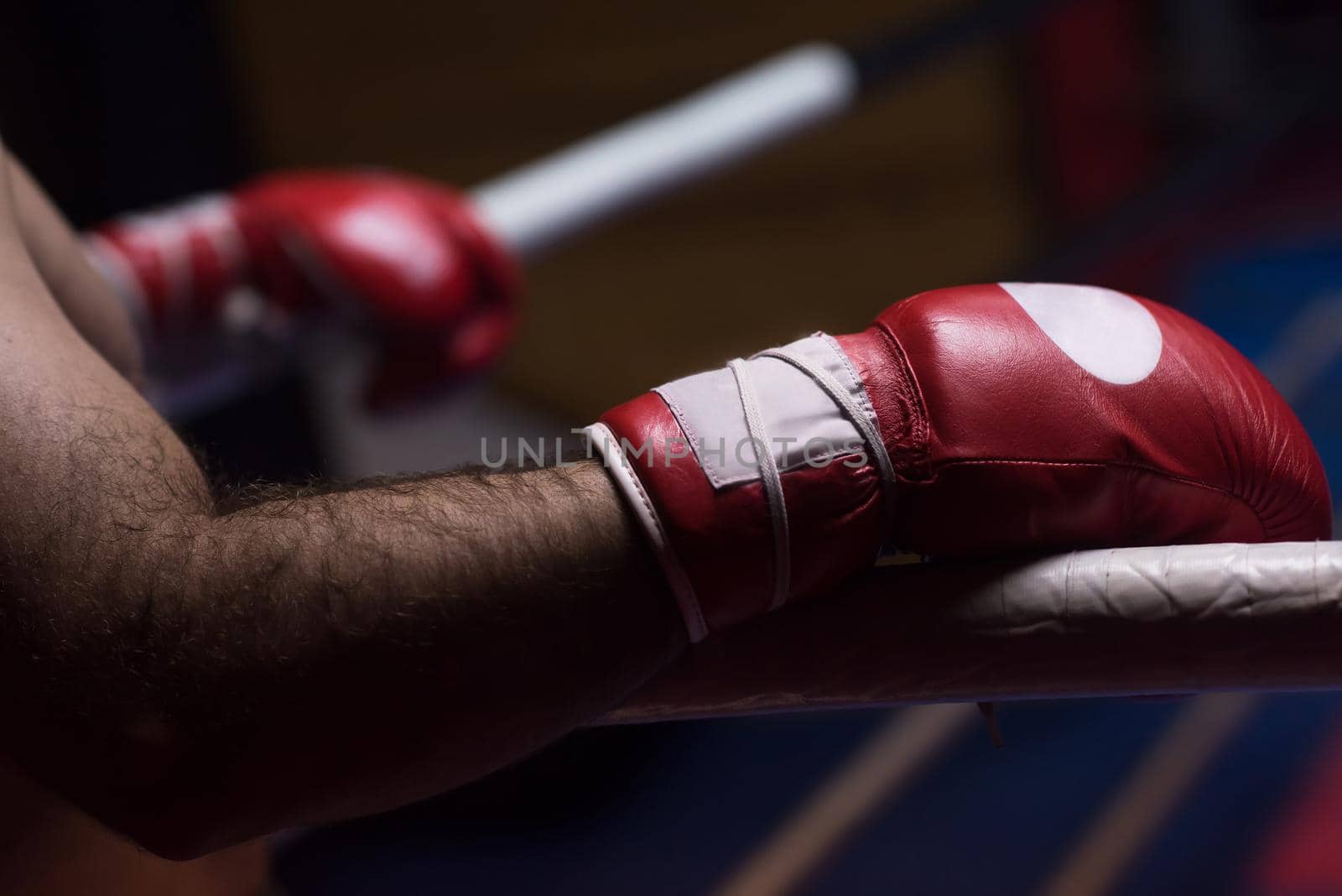 muscular professional kick boxer resting on the ropes in the corner of the ring while training for the next match with a focus on the gloves