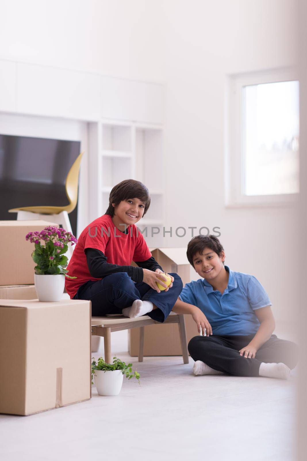 portrait of happy young boys with cardboard boxes around them in a new modern home