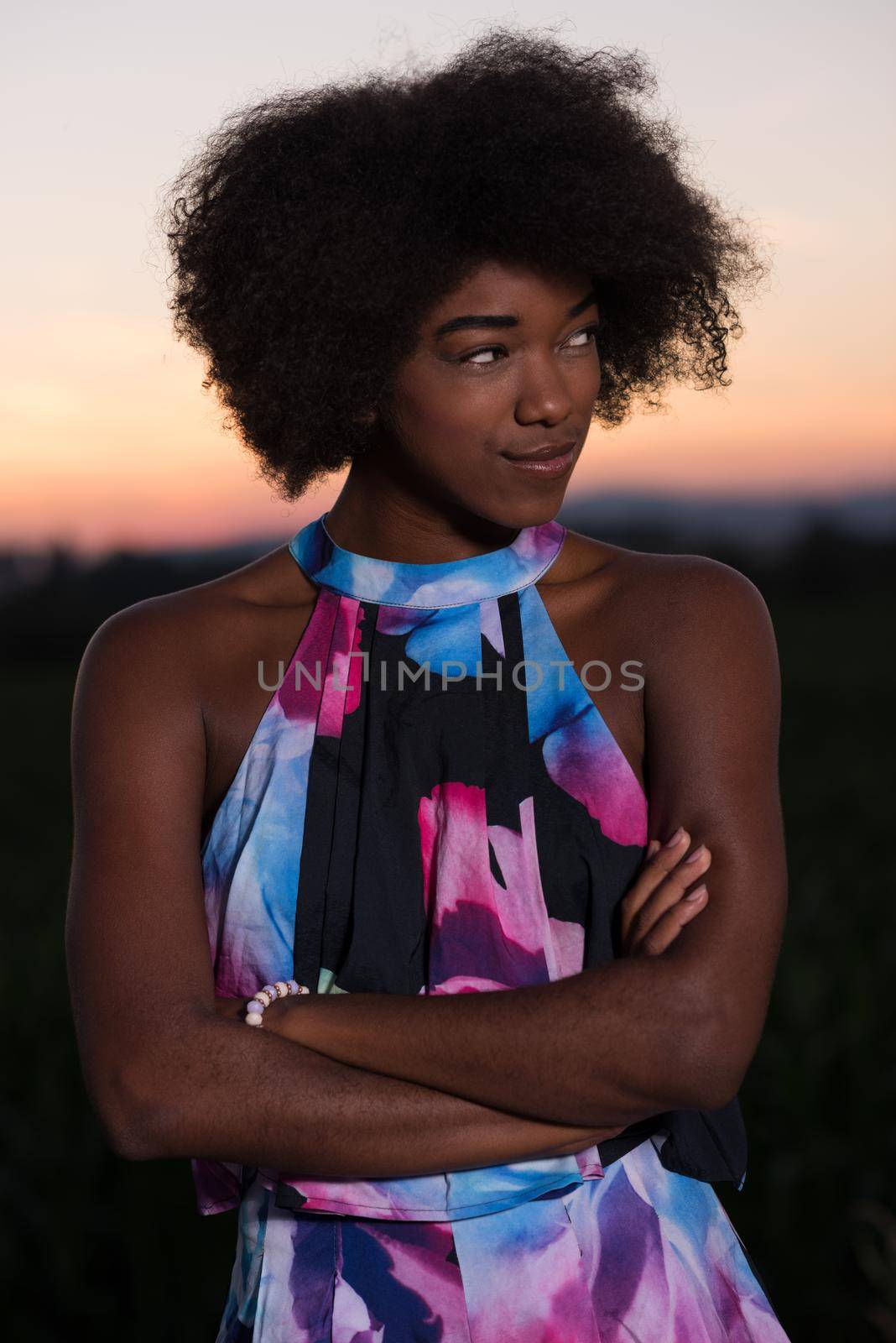 portrait of a young African-American woman in a summer dress by dotshock