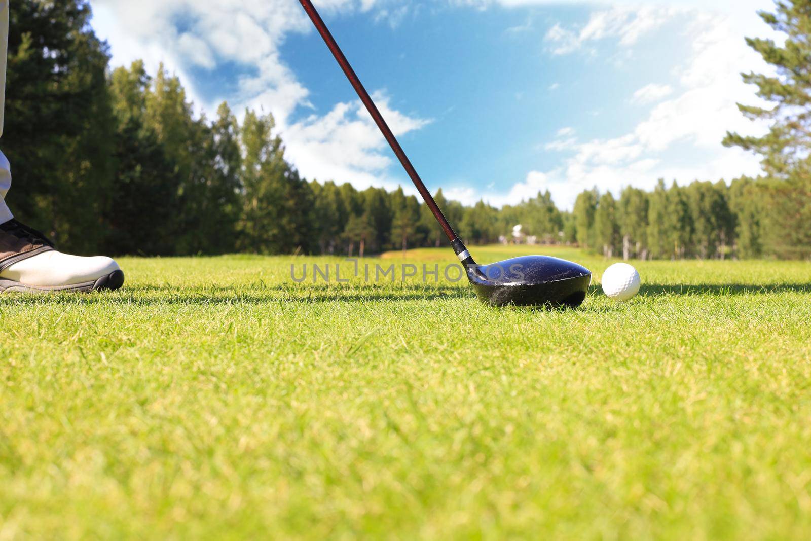 Golf player at the putting green hitting ball into a hole