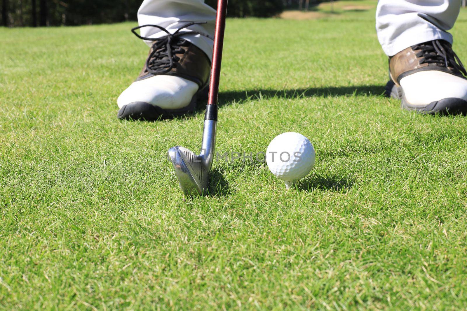 Golf player at the putting green hitting ball into a hole. by tsyhun