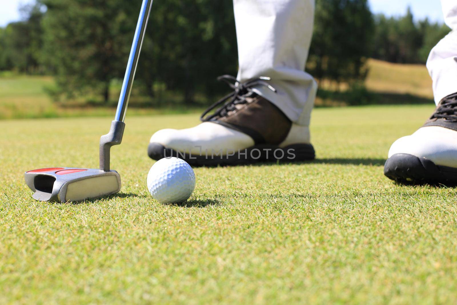 Golf player at the putting green hitting ball into a hole