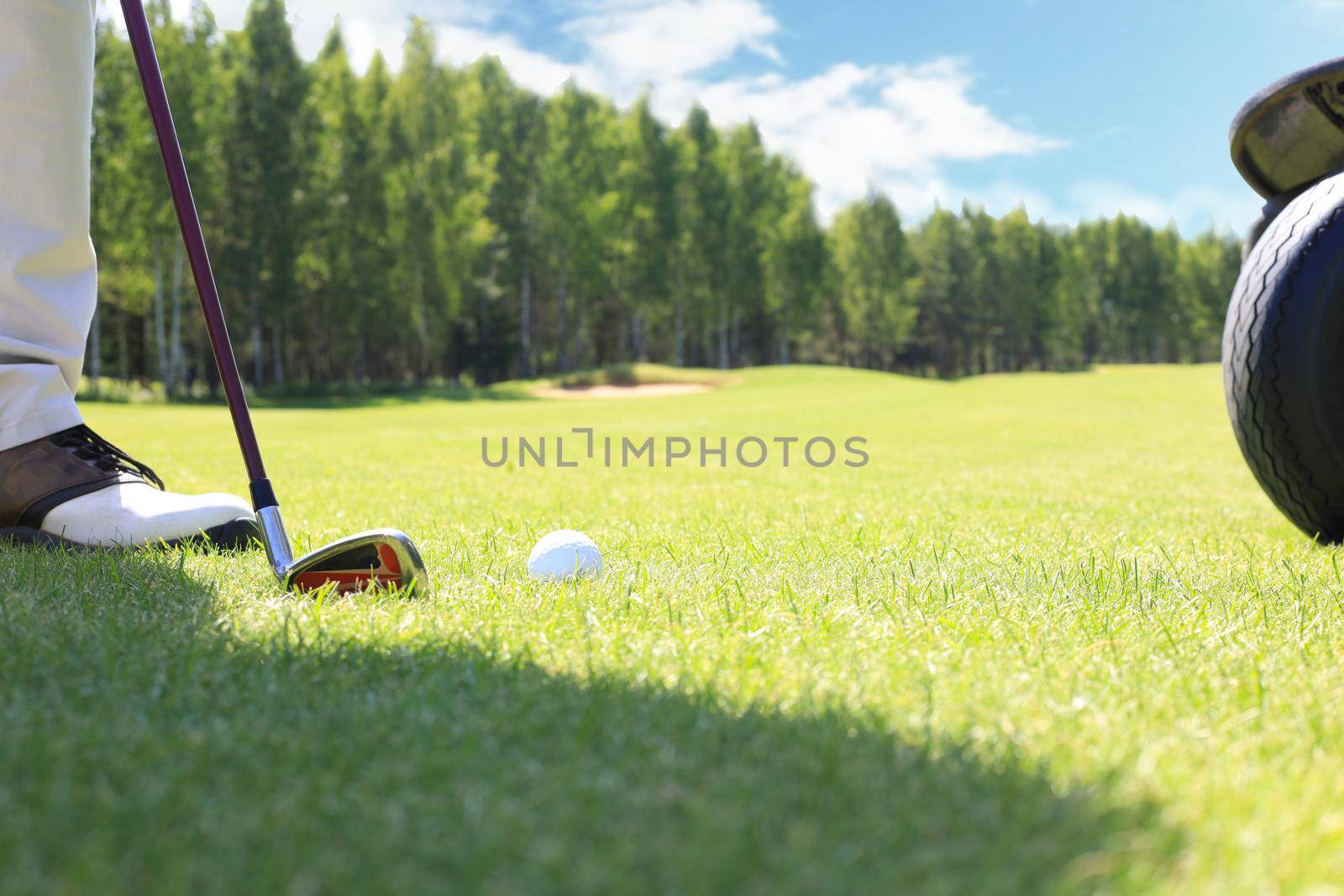 Golf approach shot with iron from fairway at sunny day. by tsyhun