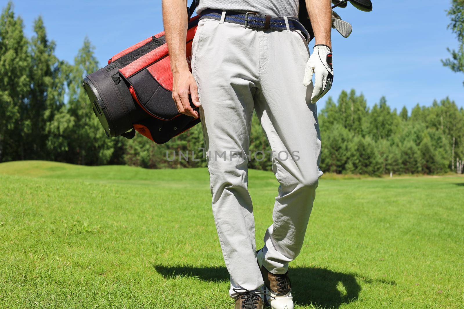 Cropped image of male golfer carrying golf bag with drivers while walking by green grass