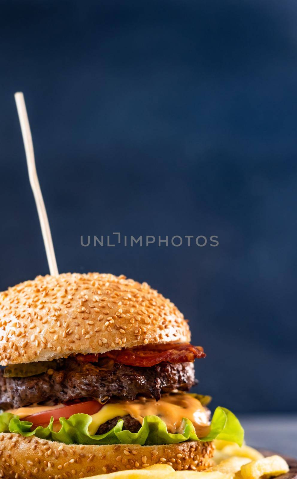Delicious burger with meat and cheese by GekaSkr