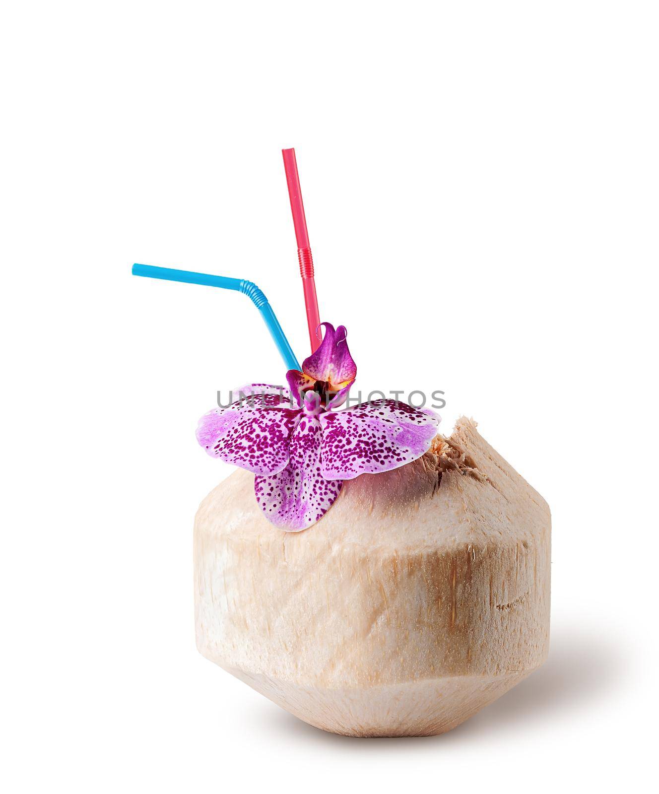 Fresh coconut water drink with orchid flower by Cipariss