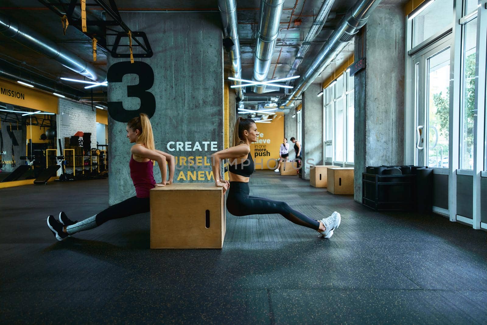 Training triceps. Full length of two young athletic women in sportswear doing push ups on wooden crossfit jump box at gym, exercising together. Sportive people, healthy lifestyle and workout concept