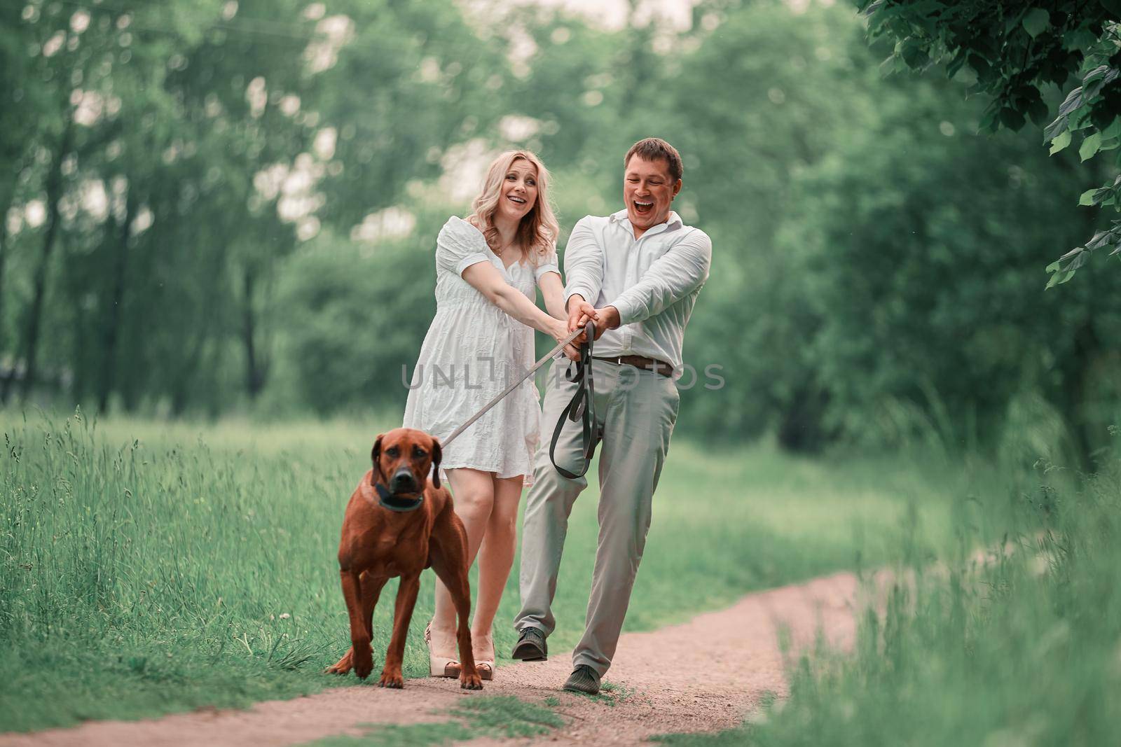 young husband and his wife with their pet dog on a walk in the Park . the concept of a healthy lifestyle