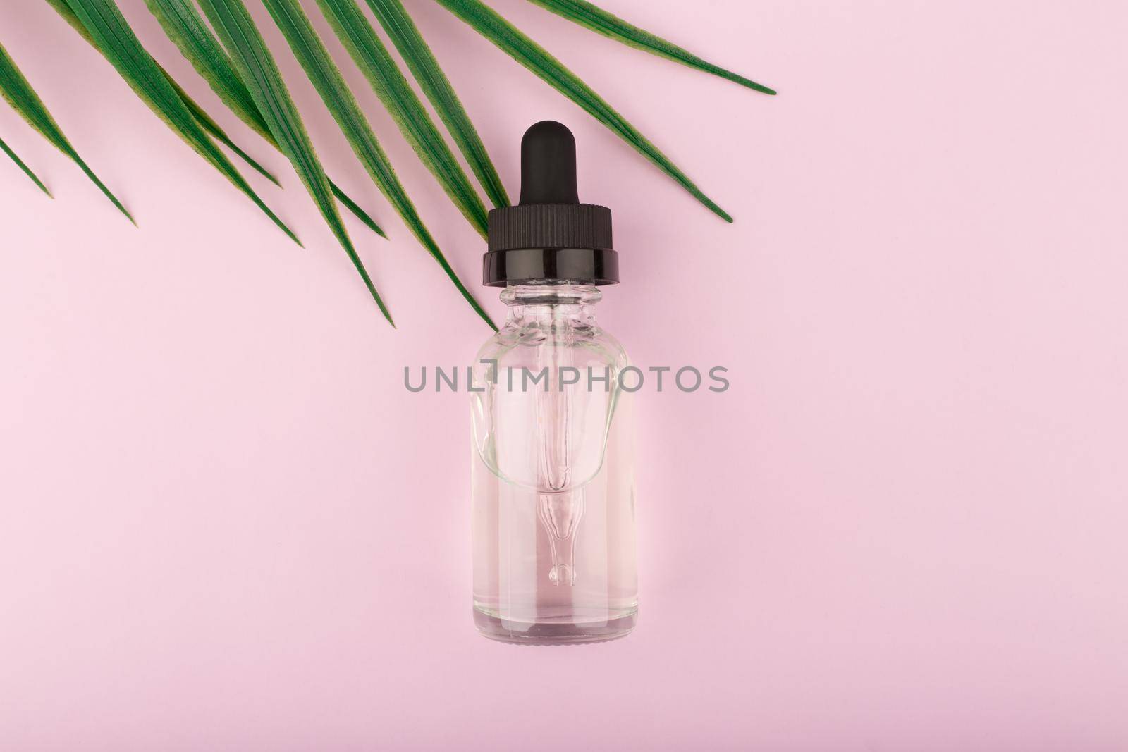 Skin serum in transparent bottle on bright pastel purple background with palm leaf and copy space. Concept of anti aging or anti acne organic, natural skin treatment for glowing, young looking and healthy skin