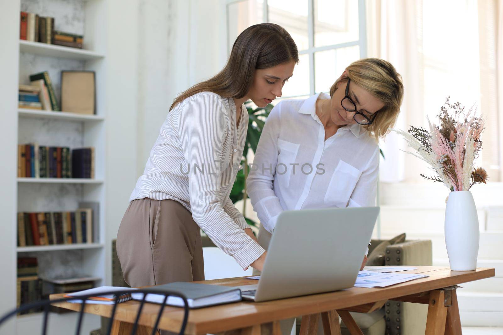 Two female collegues working with laptop and discussing new project