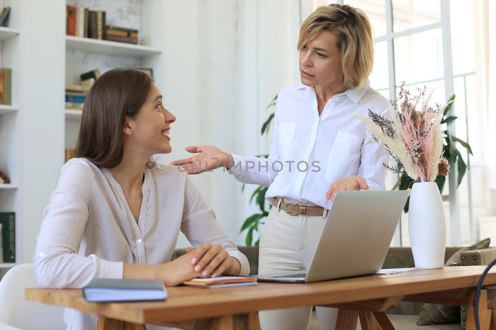 Two female collegues working with laptop and discussing new project