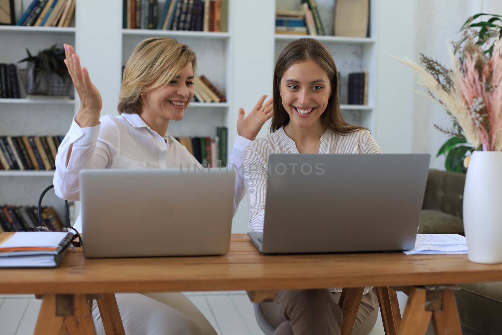 Two female collegues working with laptop and discussing new project