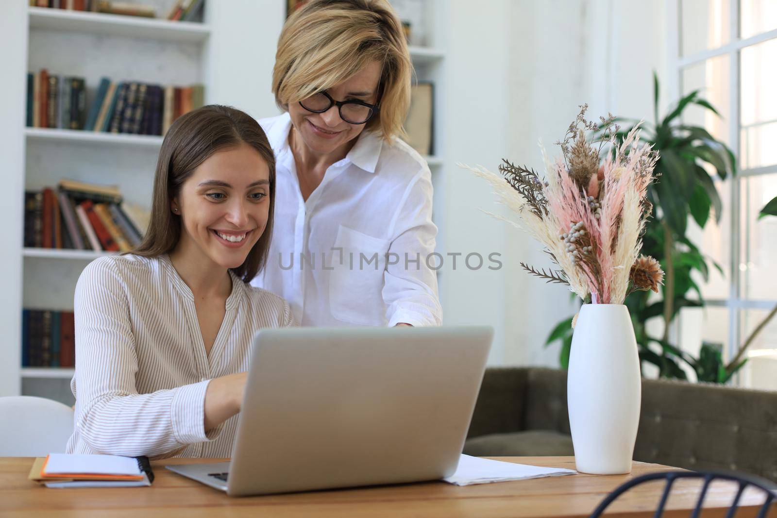 Two female collegues working with laptop and discussing new project