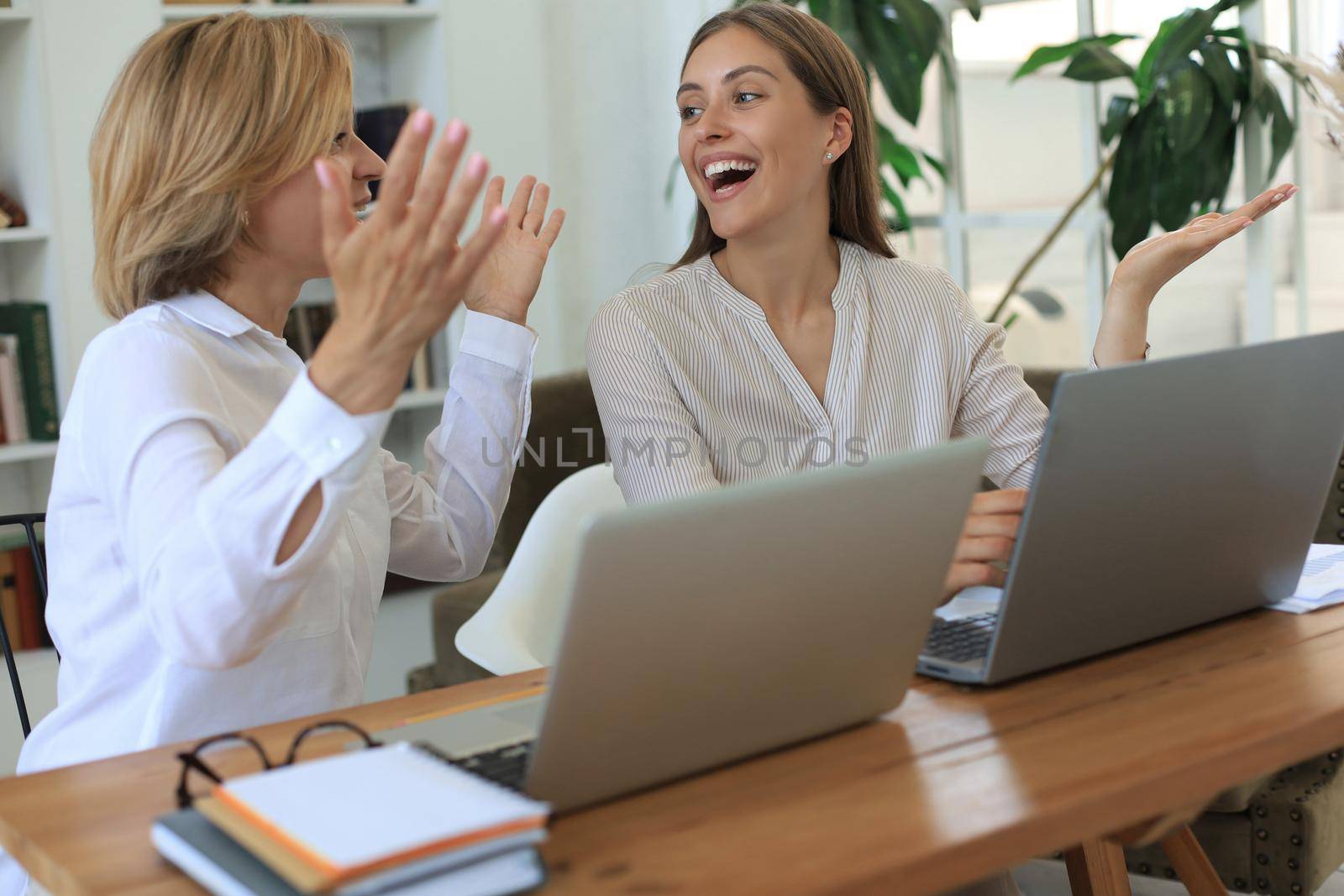 Two female collegues working with laptop and discussing new project