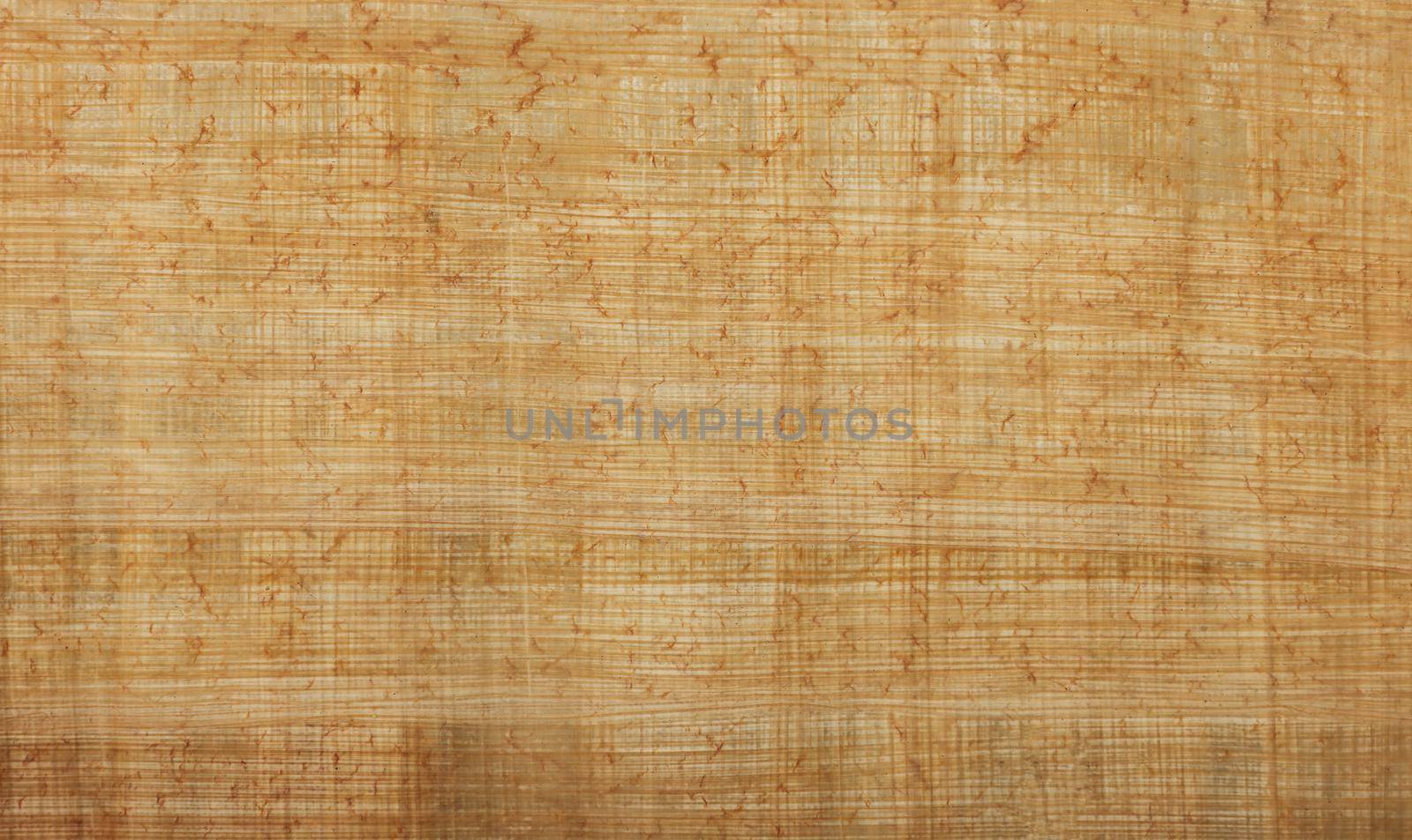 Ancient papyrus paper document background by BreakingTheWalls
