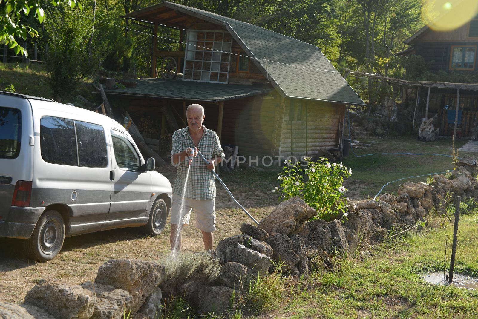 Senior gardener watering the plants using a rubber hose in sunset