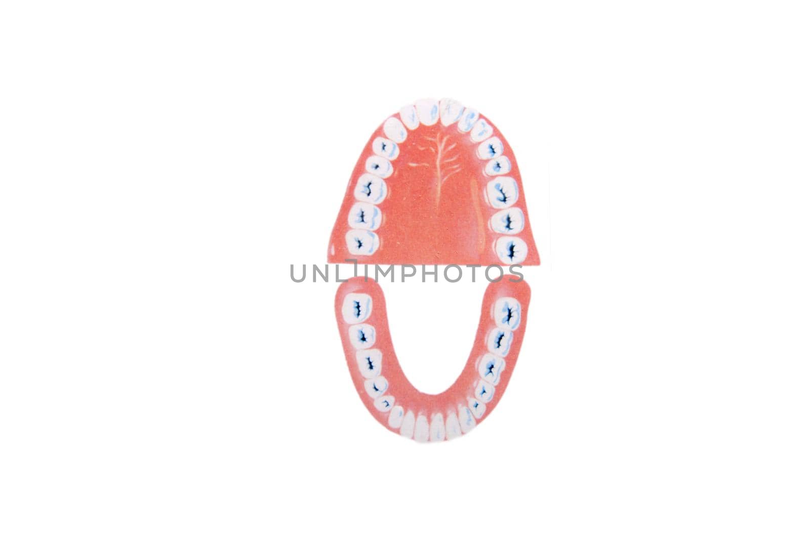 teeth illustration by dotshock