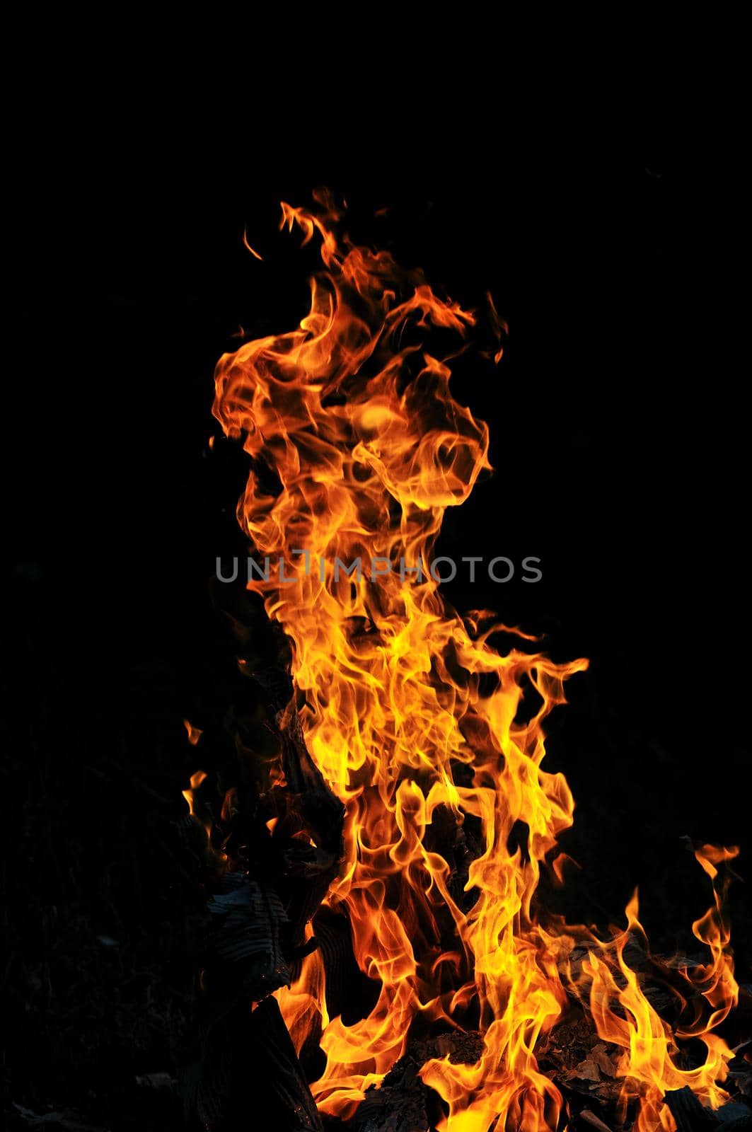 wild fire flames burn hot with black background