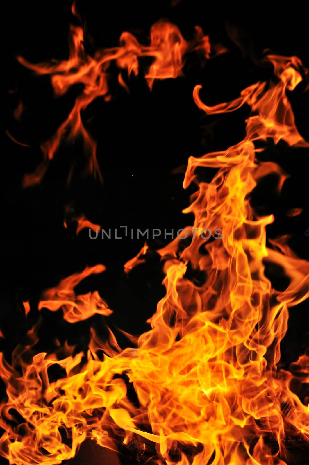 wild fire flames burn hot with black background