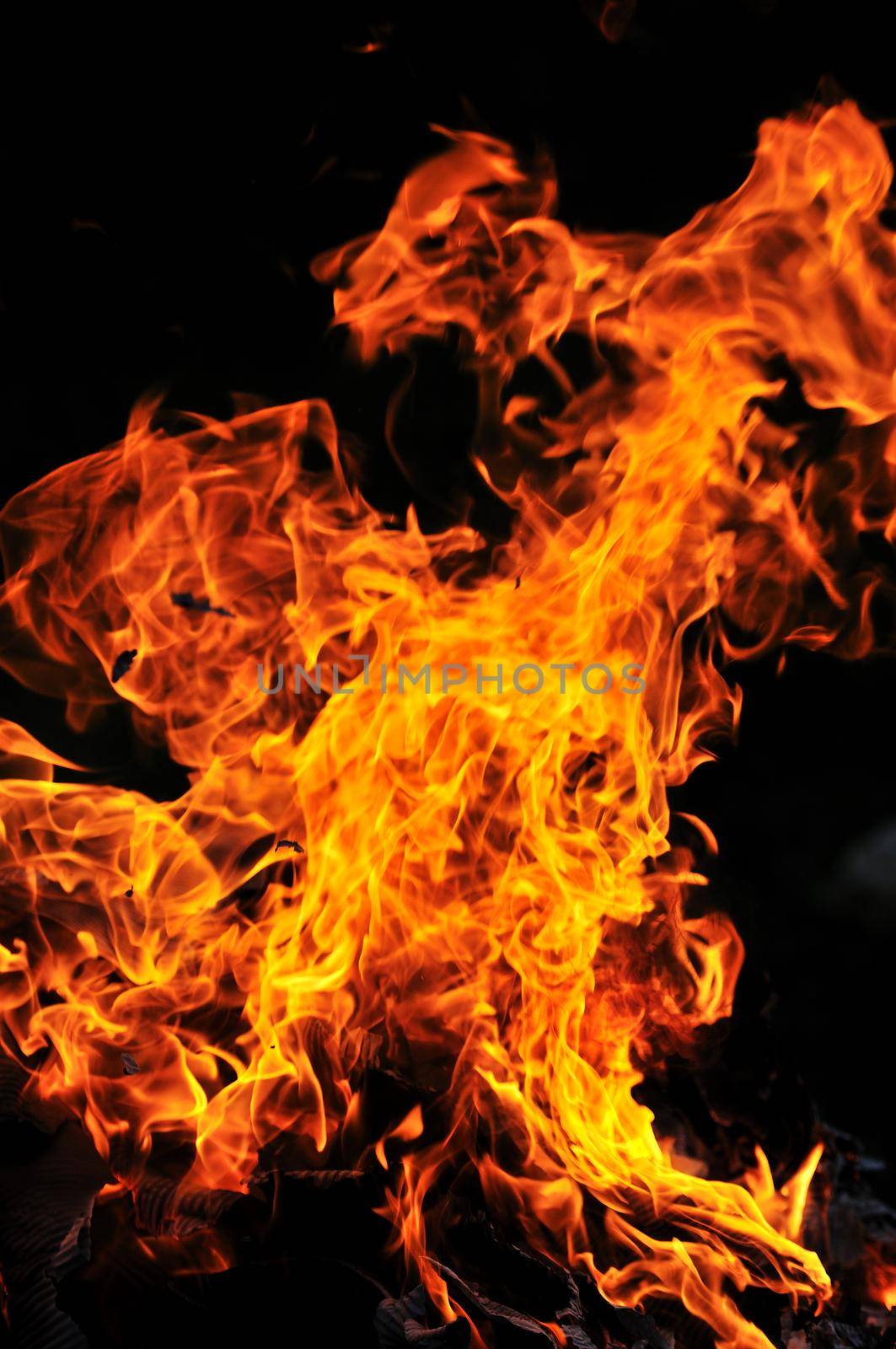 wild fire flames burn hot with black background