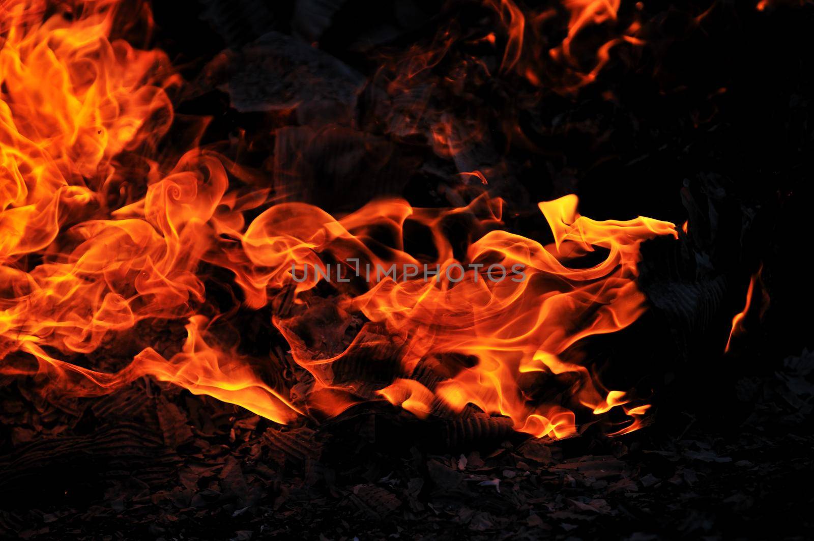 wild fire flames burn hot with black background