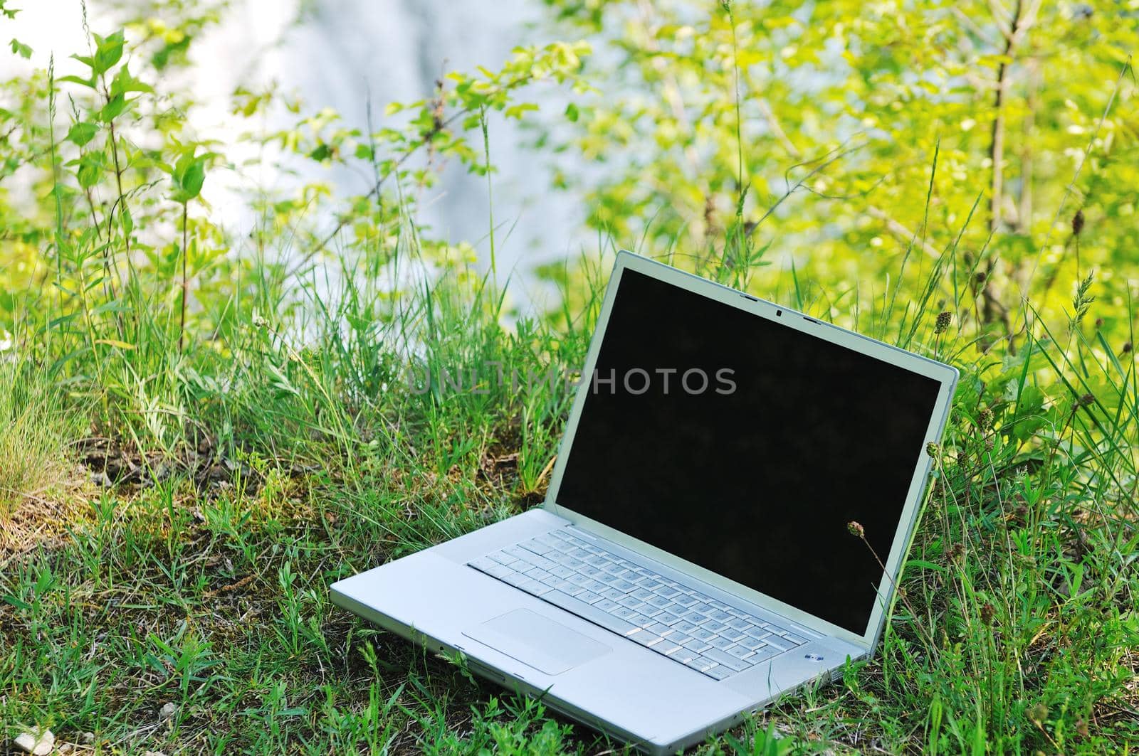 thin modern silver laptop computer in green nature outdoor