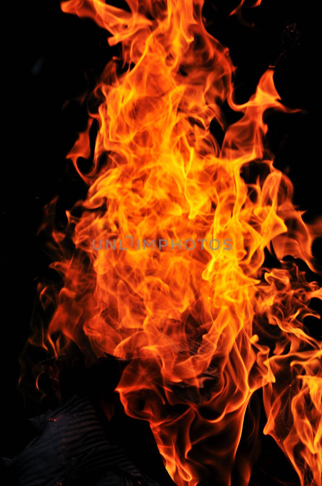 wild fire flames burn hot with black background