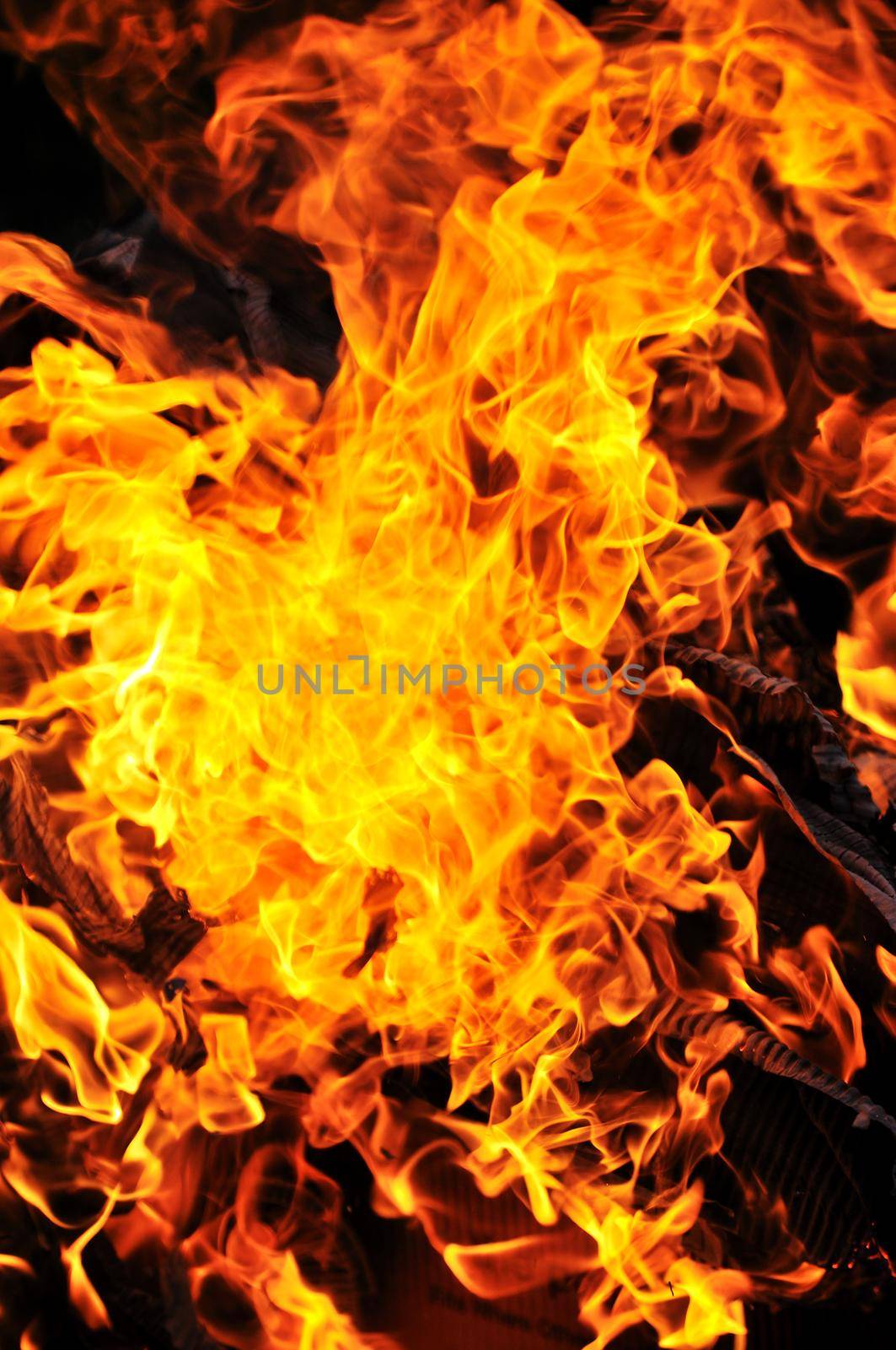 wild fire flames burn hot with black background