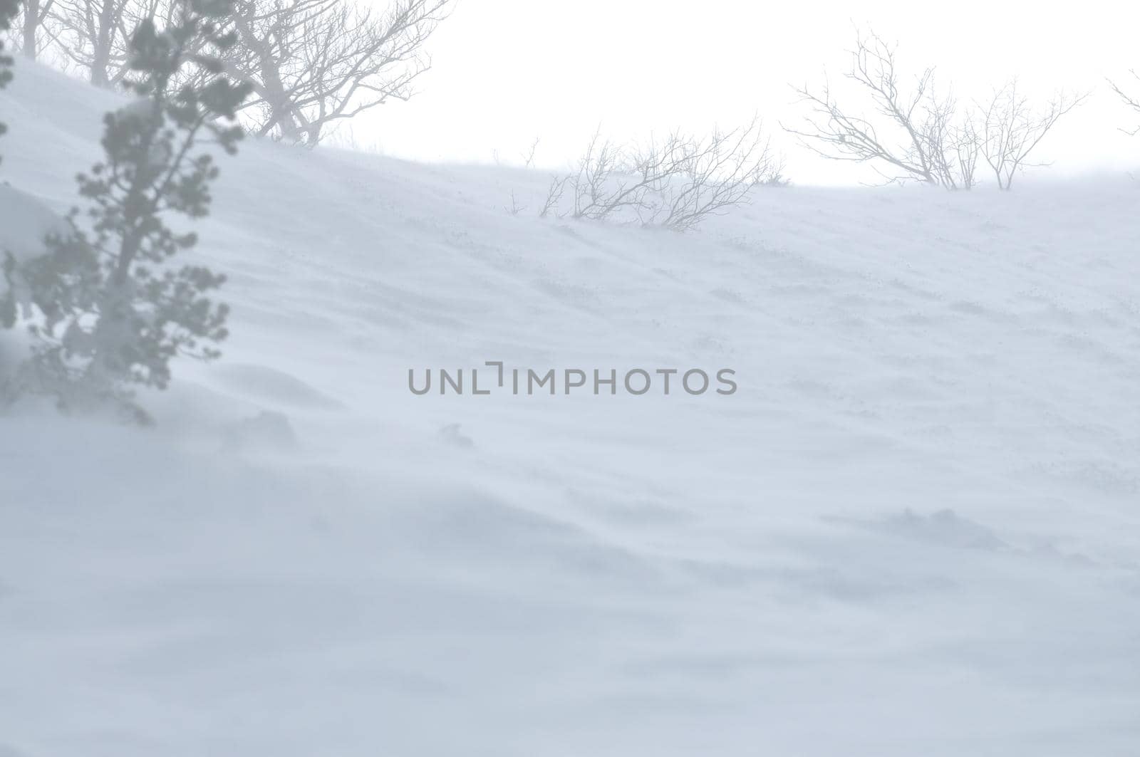 beautiful winter season landscape with ice snow and hard winds