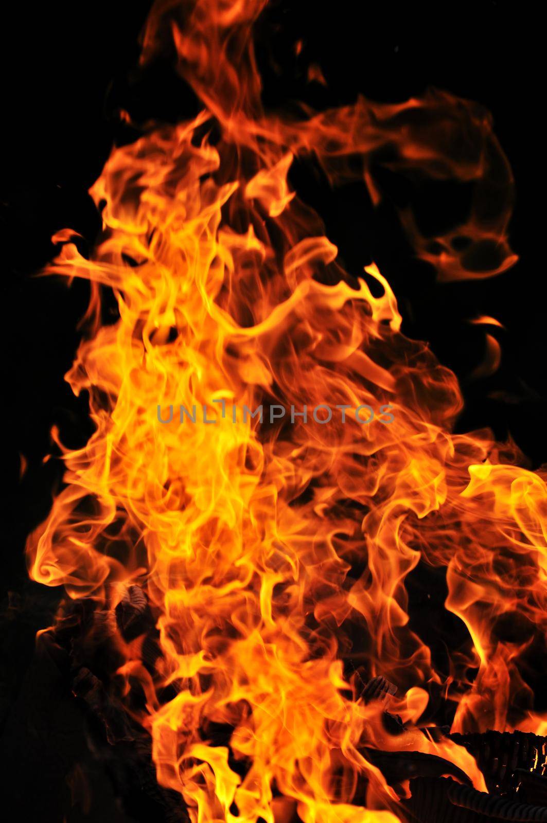 wild fire flames burn hot with black background