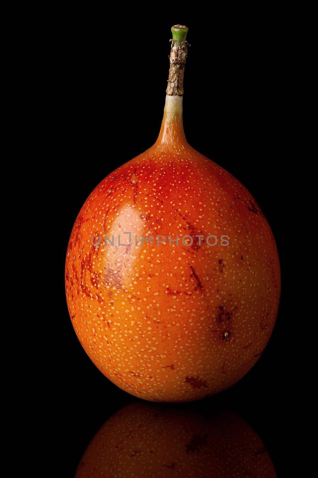 Whole tamarillo vertically with reflection isolated on black background