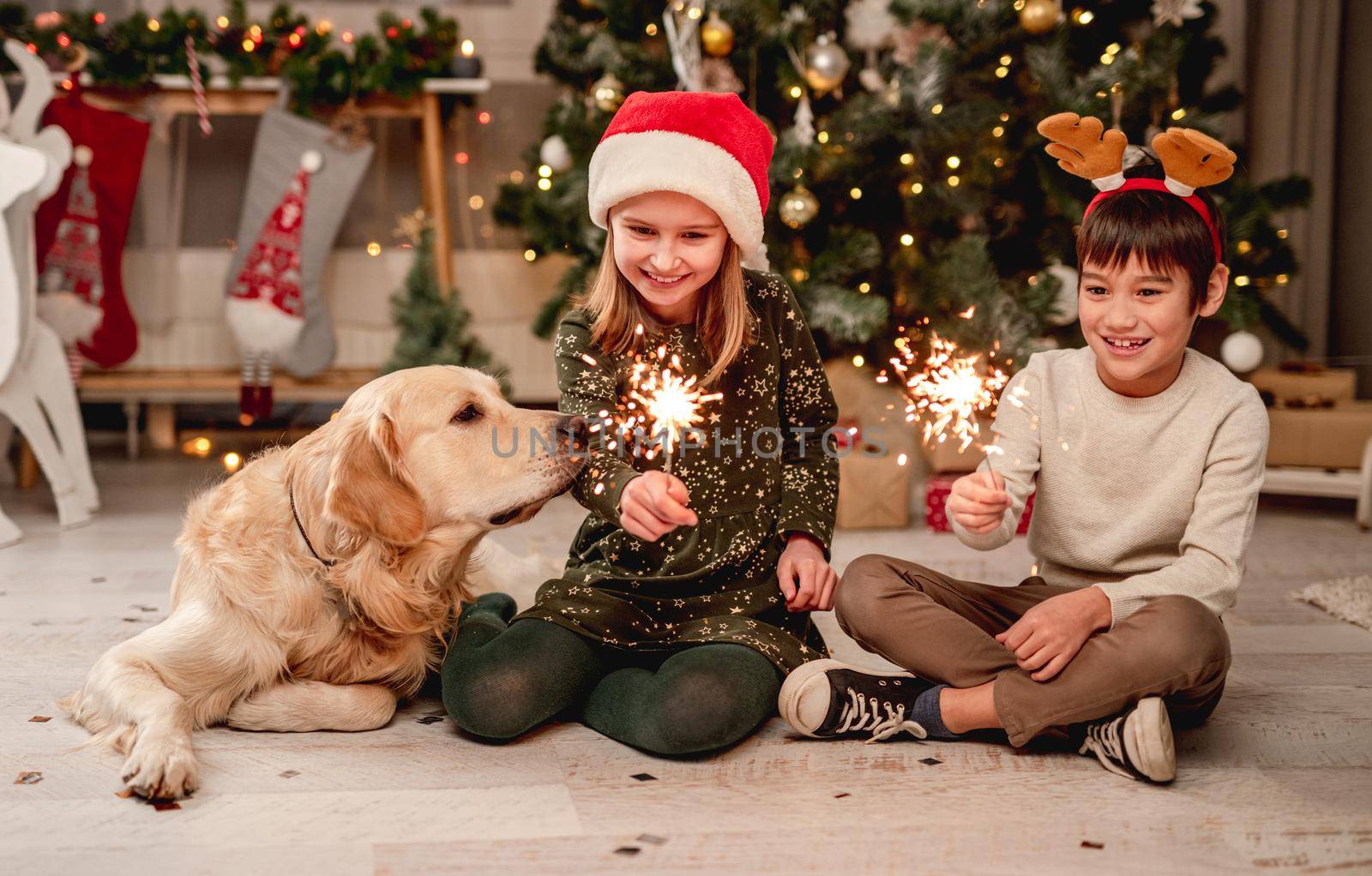 Little girl in santa hat and boy wearing reindeer horns rim holding sparklers while sitting beside golden retriever dog at home