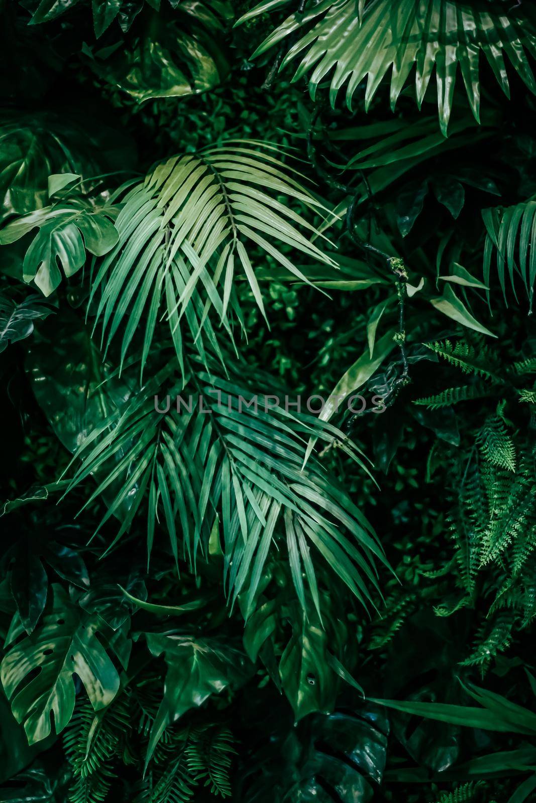 Tropical leaves as nature and environmental background, botanical garden and floral backdrop, plant growth and landscape design by Anneleven