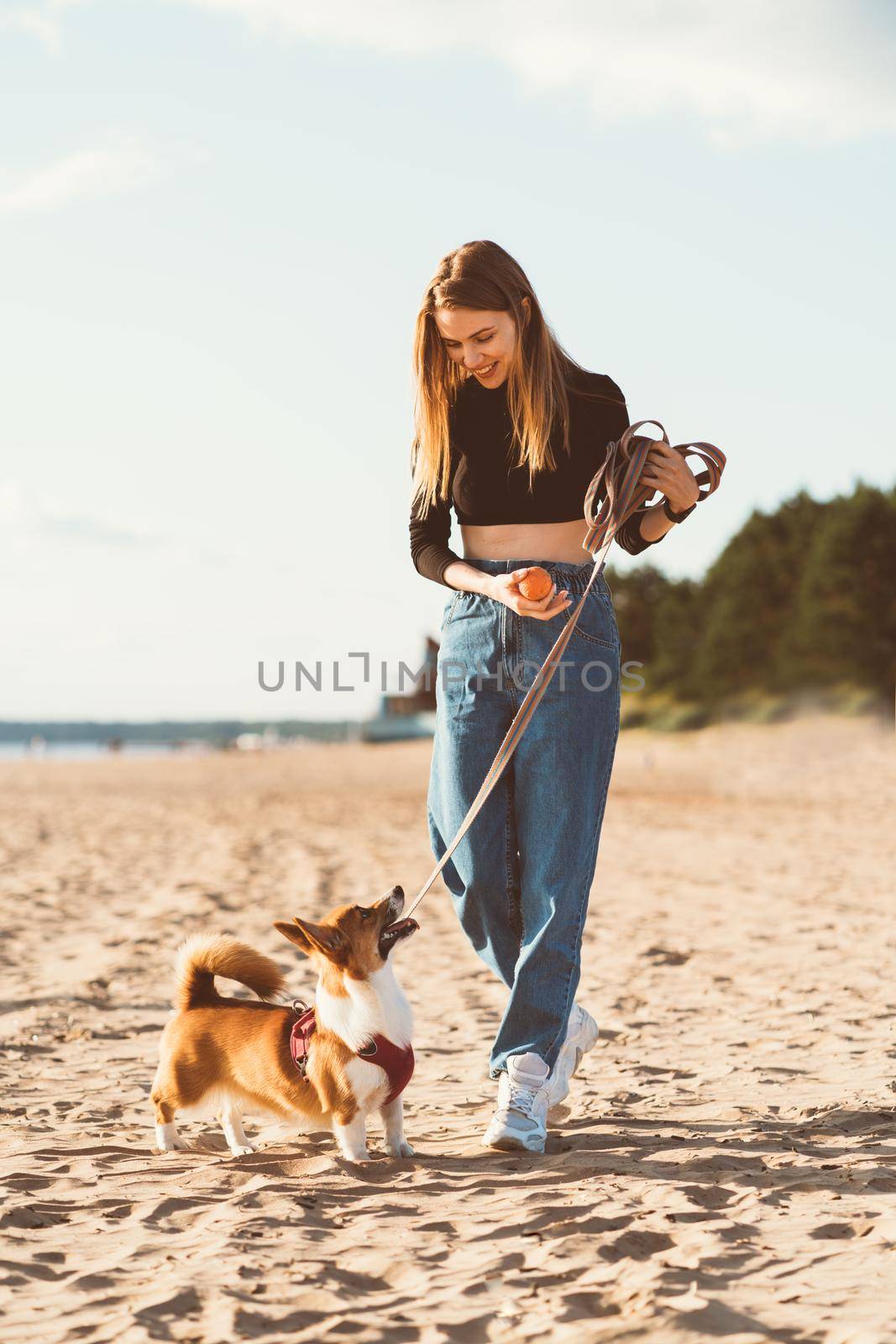 Beautiful young woman playing with Corgi puppy walking along ocean beach. Female looking to dog on Sunny day on ocean coastline. Active lifestyle, pet care