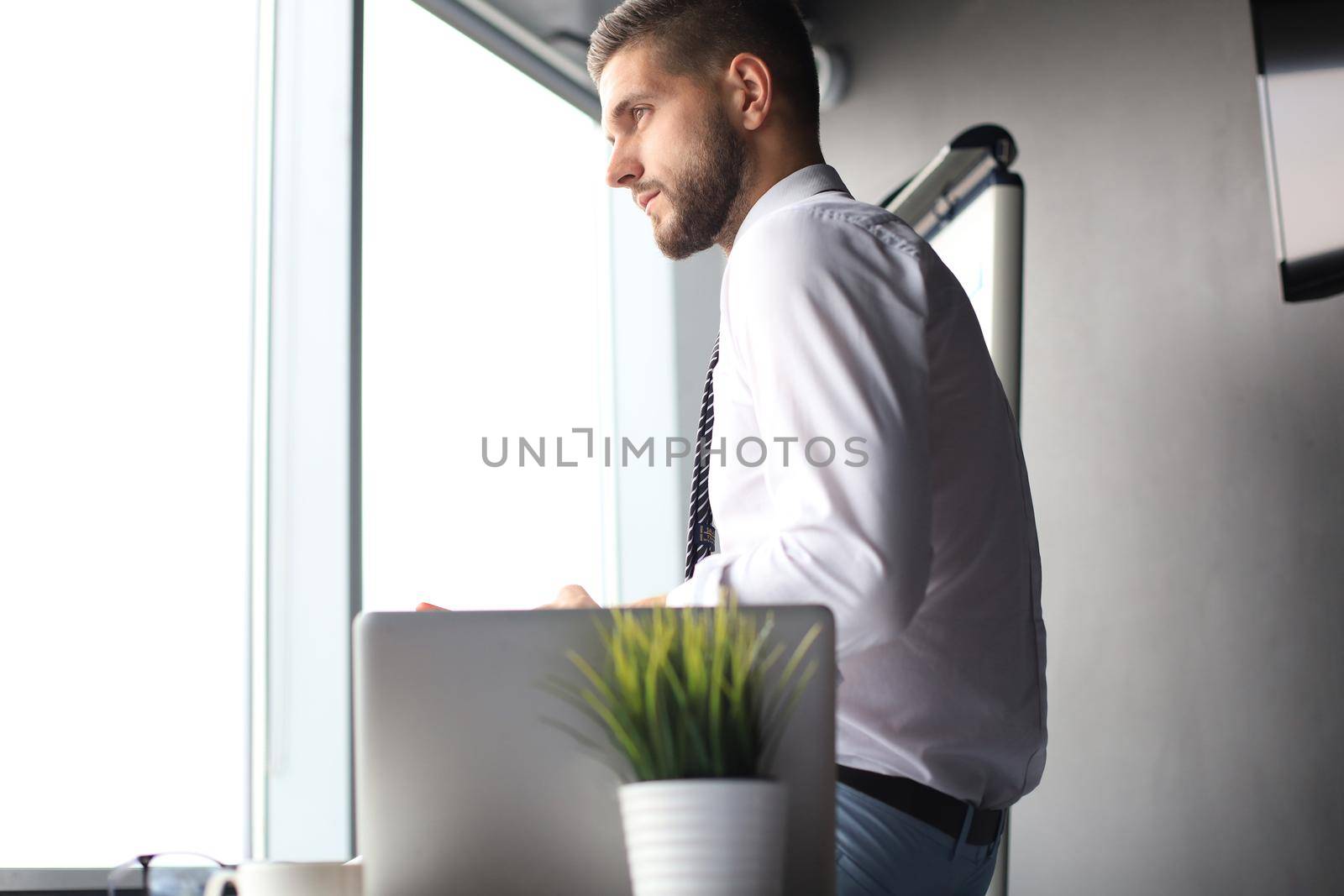 Portrait of happy businessman sitting on office desk.