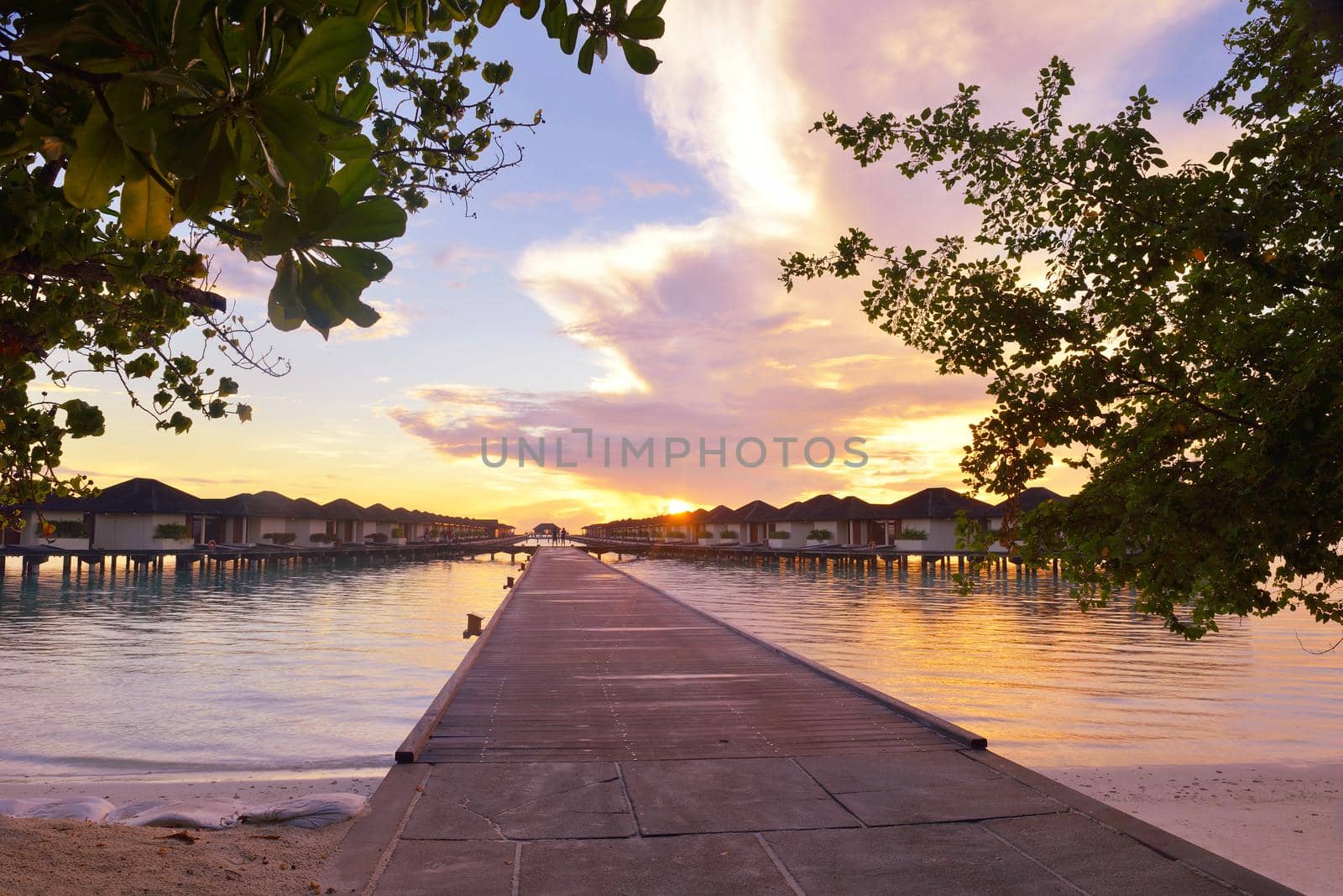 tropical beach nature landscape scene with white sand at summer