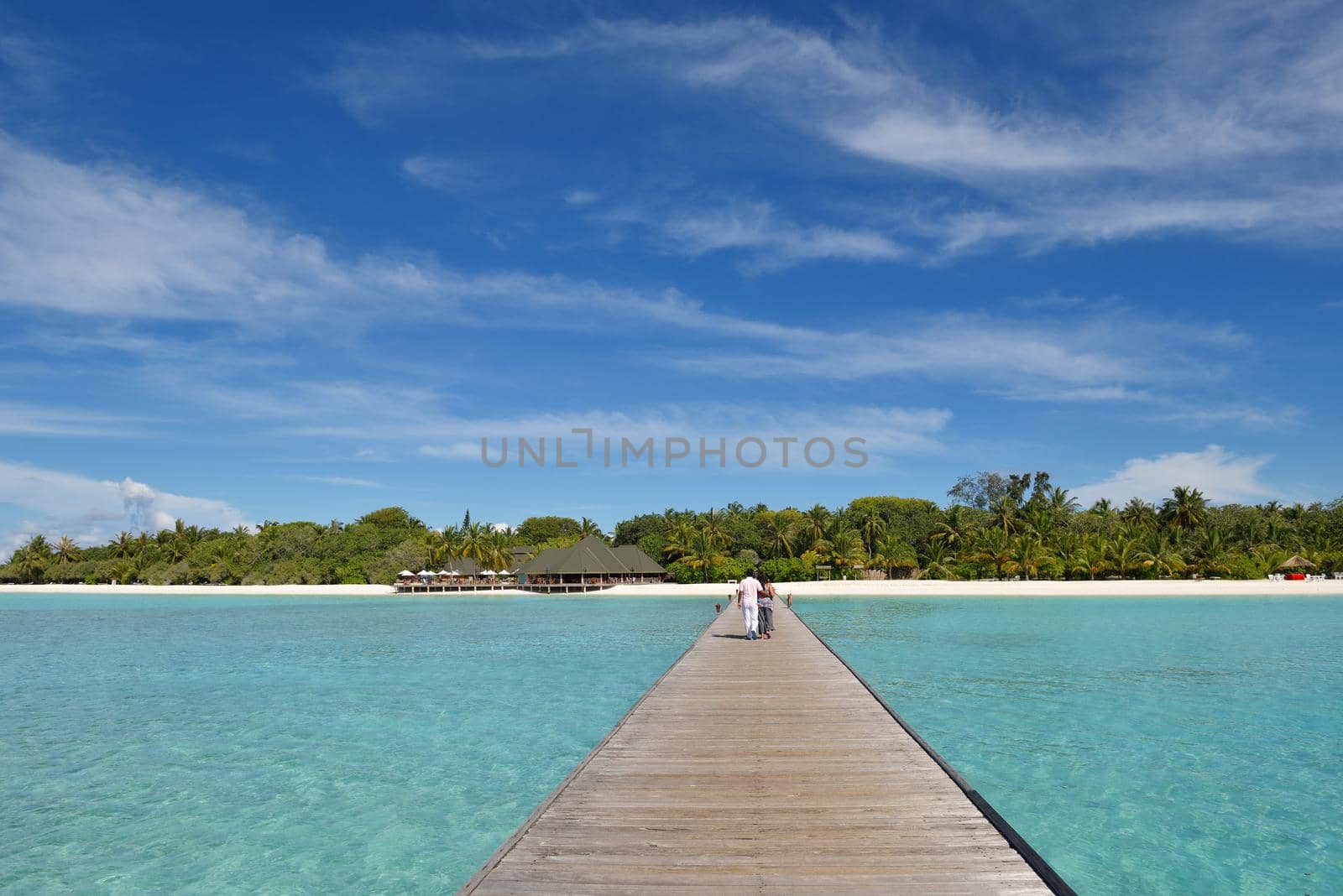 tropical beach nature landscape with white sand at summer