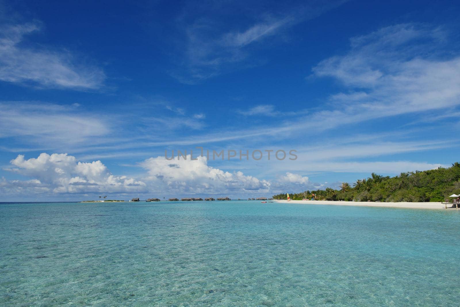 tropical beach nature landscape with white sand at summer