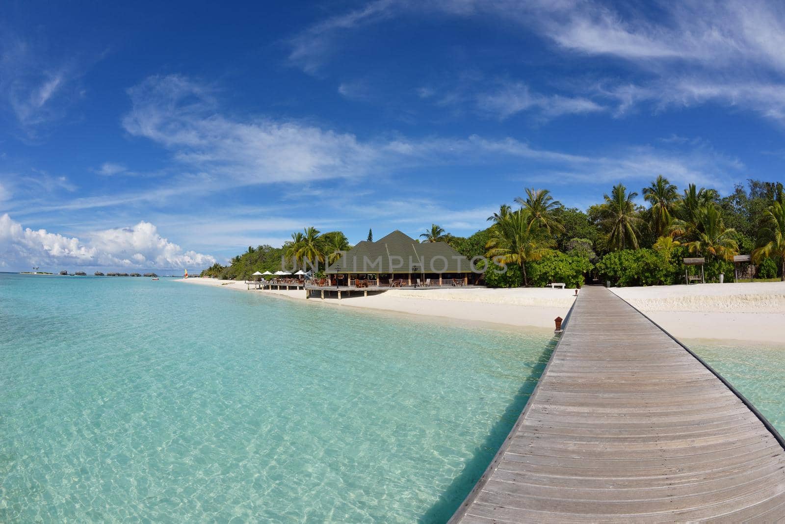 tropical beach nature landscape scene with white sand at summer