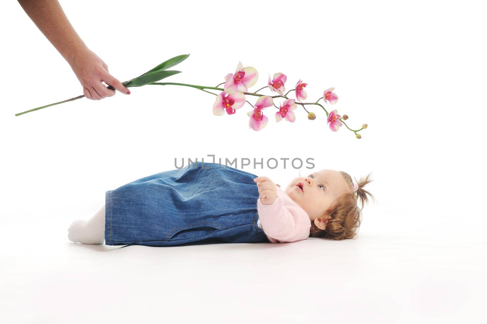 one happy  baby child isolated on white background with flower