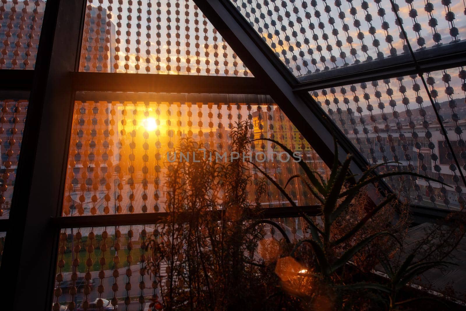 sunset or sunrise above the city through a glass roof in a modern building