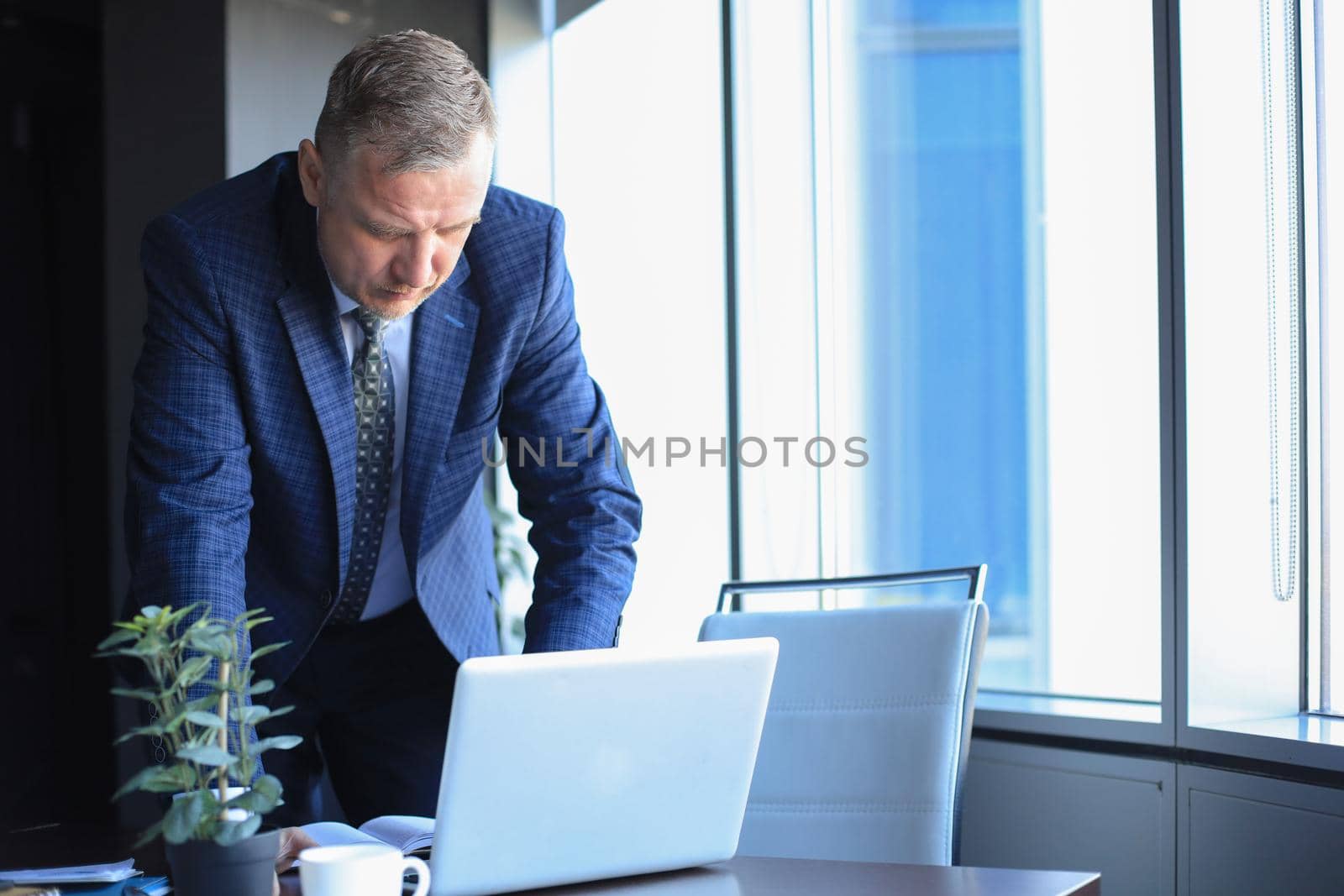 Elegant mature businessman analyzing data while working in office