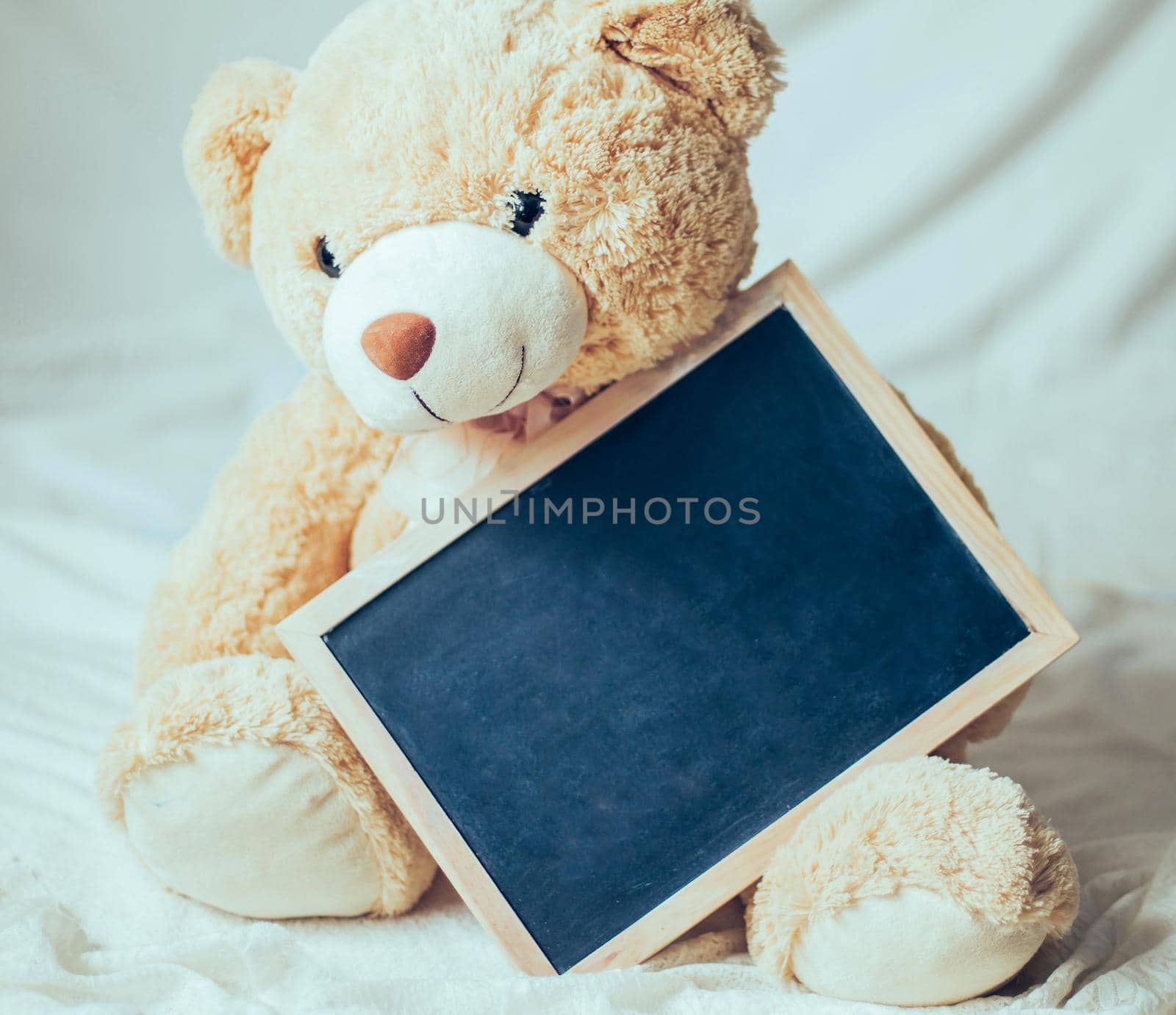 soft toy with a card and a congratulatory inscription.the photo has a empty space for your text