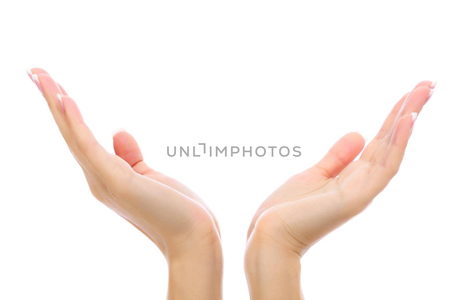 Female hands on white background